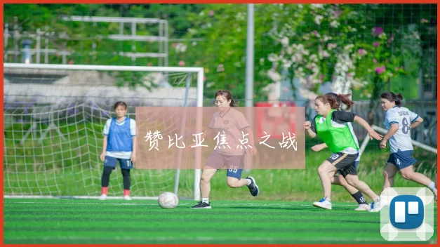 赞比亚焦点之战