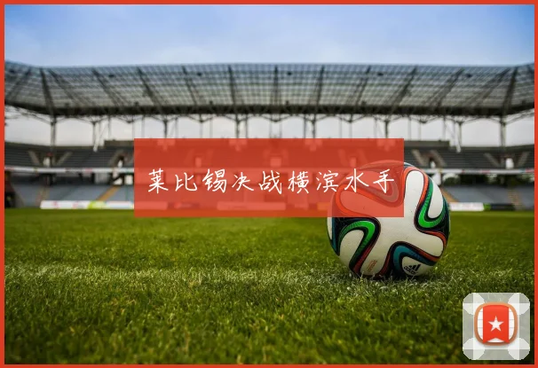莱比锡决战横滨水手