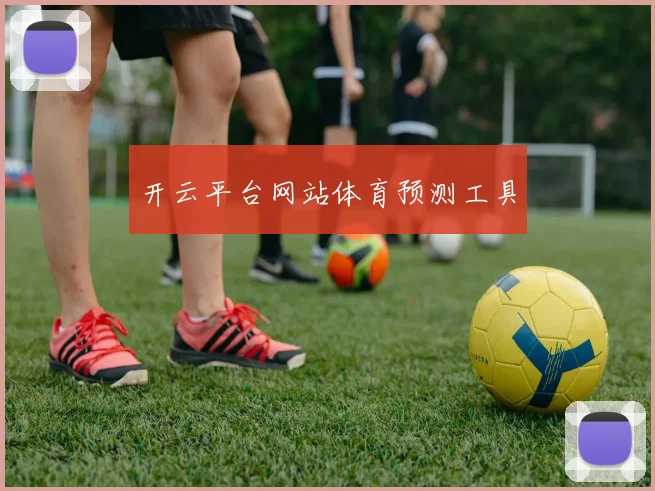 开云平台网站体育预测工具