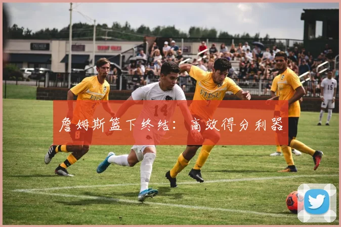 詹姆斯篮下终结：高效得分利器