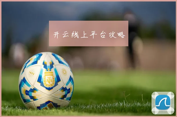 开云线上平台攻略
