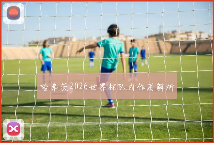 哈弗茨2026世界杯队内作用解析
