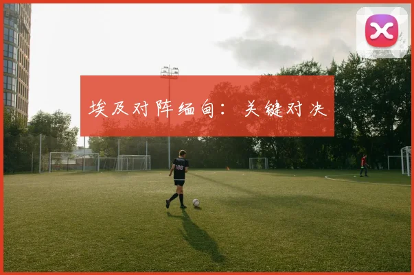 埃及对阵缅甸：关键对决