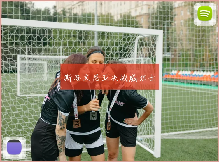 斯洛文尼亚决战威尔士