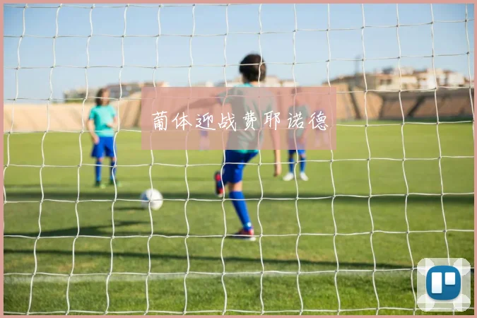 葡体迎战费耶诺德