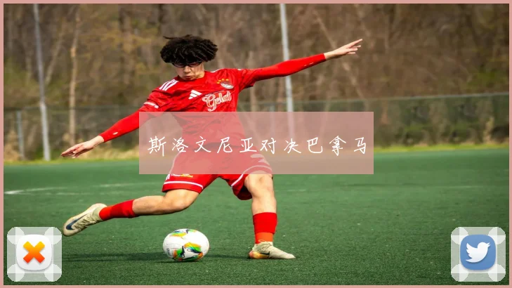 斯洛文尼亚对决巴拿马