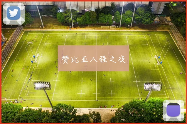 赞比亚八强之夜