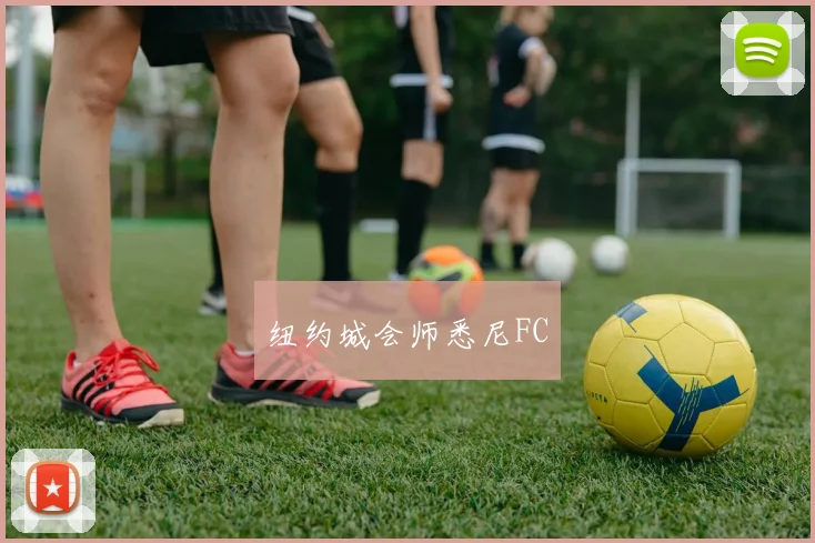 纽约城会师悉尼FC