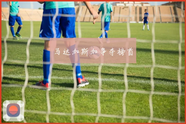 马达加斯加争夺榜首