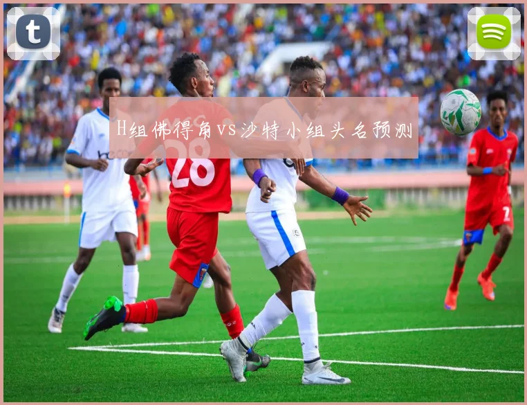 H组佛得角vs沙特小组头名预测