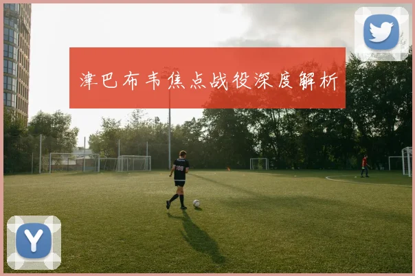 津巴布韦焦点战役深度解析