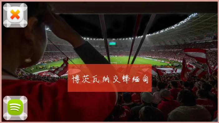 博茨瓦纳交锋缅甸