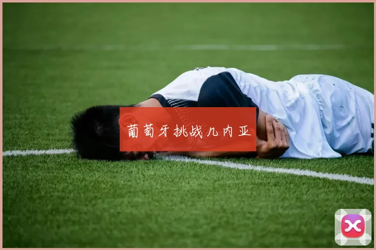 葡萄牙挑战几内亚