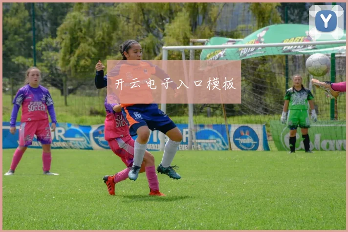 开云电子入口模板
