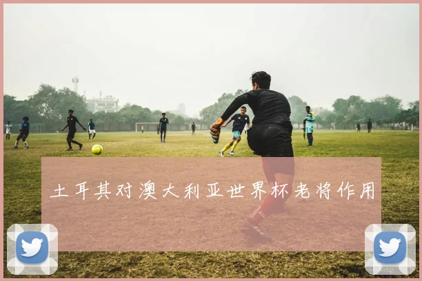 土耳其对澳大利亚世界杯老将作用