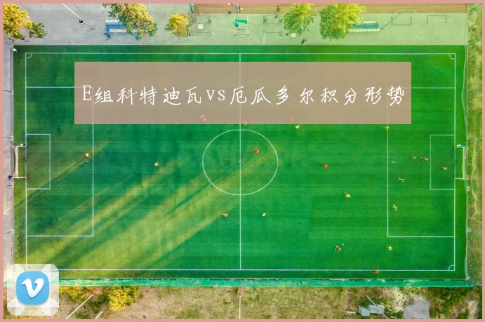 E组科特迪瓦vs厄瓜多尔积分形势