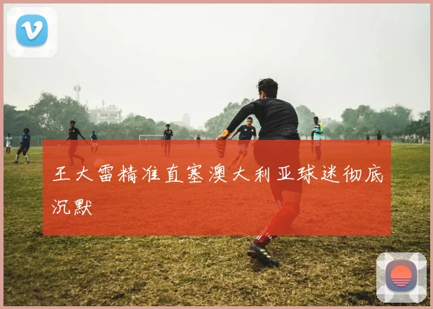 王大雷精准直塞澳大利亚球迷彻底沉默